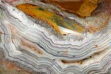 Polished Crazy Lace Agate - Mexico #180548-2